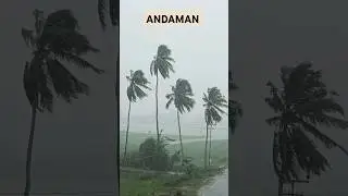Barish ☕🌧️☔🌴#barish#mansoon#andamanmonsoon#mansoontoday#tsunami #tsunamiandaman