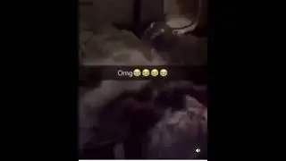 Waking up this sleeping person with a bucket of water