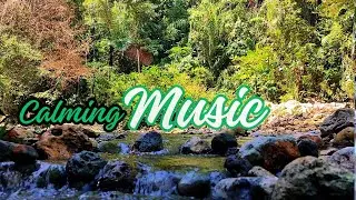 8 Hours Relaxing Forest River 💧 Sleep Fast, Anxiety Relief, Meditation & Spa Ambience 7