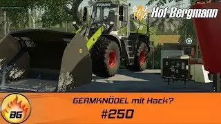 LS19 - Hof Bergmann #250 | GERMKN&Ouml;DEL mit Hack? | FS19 | Let's Play [HD]