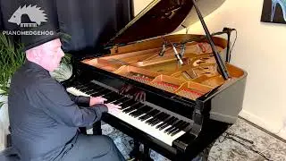 Watermelon Sugar - Harry Styles (Piano Interpretation - Piano Hedgehog)