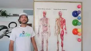 Enter the RowDojo - Relax and Move
