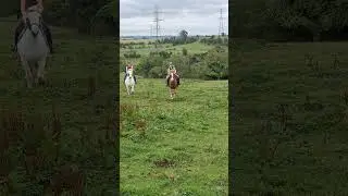 we got to gallop! #horseenthusiast #4urpage #galloping #equestrian #horsegirl #blowup #horsefan #fyp