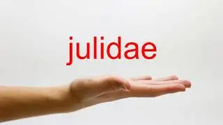 How to Pronounce julidae - American English