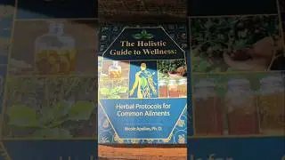 THE HOLISTIC GUIDE TO WELLNESS