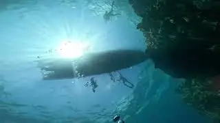 Diving At Menjangan Island - Eel Garden & Under water Cave