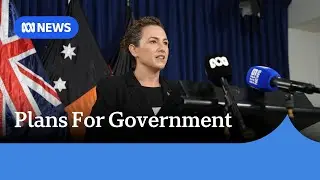 CLP government set to tackle staggering domestic violence issues and euthanasia laws | ABC News