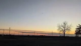 Some Geese Flying Over
