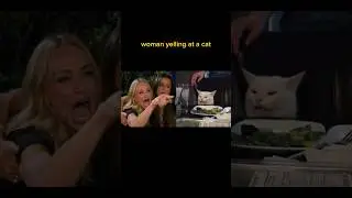 The Story of &ldquo;Woman yelling at a Cat&rdquo; meme