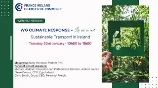 Sustainable Transport In Ireland - WG Climate Response - la vie en vert