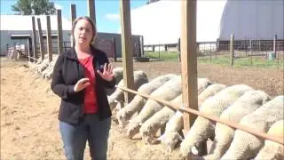 Minnesota Farm Bureau Membership - An Introduction