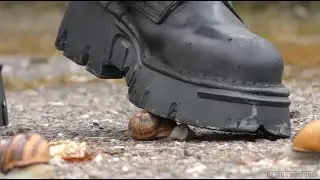 N55 Bug Crush Teaser - Army boots and Snails