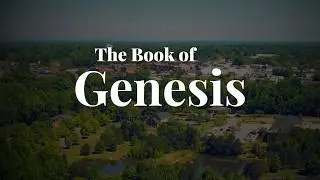 Who Is Truly God&rsquo;s Covenant People? (Genesis 21:8&ndash;14)
