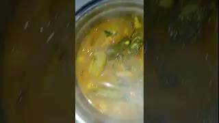 My mini vlog 22 sample winter veg curry recipe