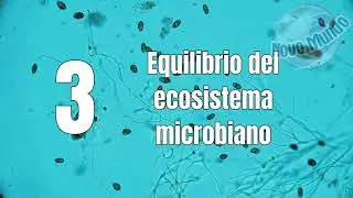 Novomax MicroN INTRODUCCI&Oacute;N