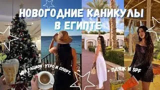 Новый год в Египте 🇪🇬 | Гала-ужин, коралловый пляж и первые дни отдыха🌴