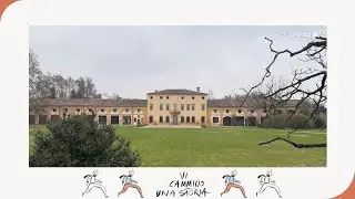 Dino Coltro