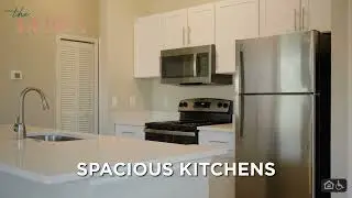 The Debra Apartments | Make Yourself at Home in Orlando, FL