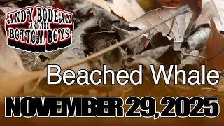 Andy Bodean and the Bottom Boys - Beached Whale [2025-11-29]