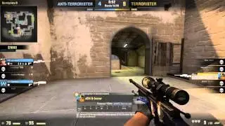 cs go fjant