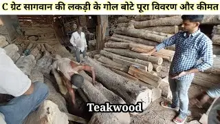 सागवान की लकड़ी के गोल मोटे. teakwood  logs complete detail with cubic feet price. C great teakwood