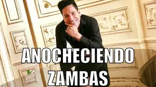 JAVIER APARICIO / ANOCHECIENDO ZAMBAS