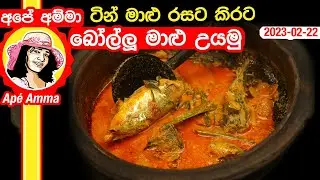 ✔ ටින් මාළු රසට සැරට බෝල්ලු මාළු උයමු Tasty fish curry (Tin fish style) by Apé Amma