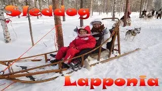 Lapponia, giro in slitta con gli Husky (sleddog in Lappon)
