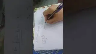 collision frequency and mean free path