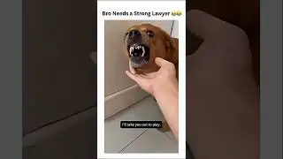 Look at the face!