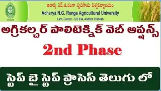 angrau web options, angrau.ac.in web options 2021, angrau polytechnic admission 2021, kings edu tech