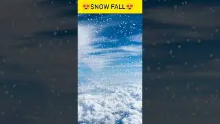 Amazing snow fall by using#html  #css  #javascript