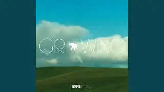 Stomping Ground (Instrumental)