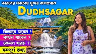 Dudhsagar Waterfall | Dudhsagar Waterfall Tour Plan | GOA Tour Plan In Bengali | GOA Night Life