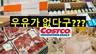 (eng/kor sub) COSTCO Shopping Vlog | NO milk from the winter storm | Dallas, Texas 재난상황 | 02/25/2020