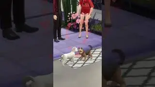 How to have puppies in The Sims 4