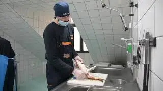 Kako očistiti šarana u kućnim uslovima