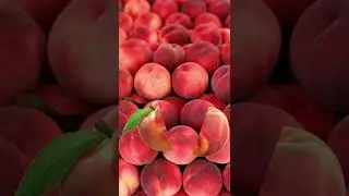 🍑 #peach #fruit provide a significant amount of #vitamin C #short #viral #trending #healthy #tips