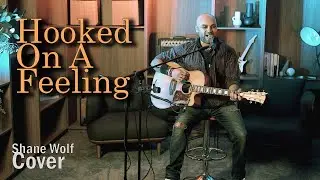 Hooked On A Feeling - Blue Swede (Shane Wolf Acoustic Looping Cover)