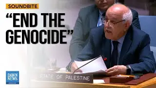 Palestinian Observer in Tears at Security Council: 