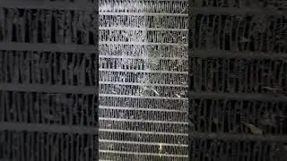 GMC Sierra dirty radiator