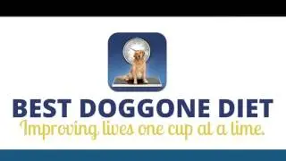 Best Doggone Diet
