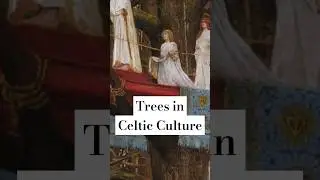 an excerpt from my first-ever YT video (on how #druids used #mistletoe in #midwinter rituals)