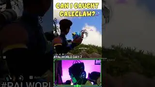 Can I Caught Galeclaw Day 11 #palworld #shorts #palworldguide