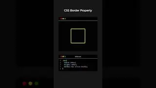 #BorderCSS #CSSBorder #BorderProperties #WebDesignBorder #StylingBorders