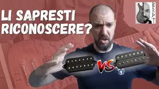 PICKUP ECONOMICO O SEYMOUR DUNCAN NAZGUL ? Qual &eacute; la differenza ?