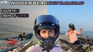 Hidden beach in Ramnad ⛱️ exporting lakhs of fishes 🐟