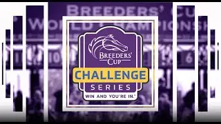 Breeders' Cup Challenge Series Recap