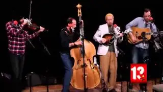 Fauxgrass - 