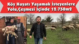 Köy Yanı Yolu ve İçinde Çeşme’si Mevcut 12.750m2 (SATILDI)